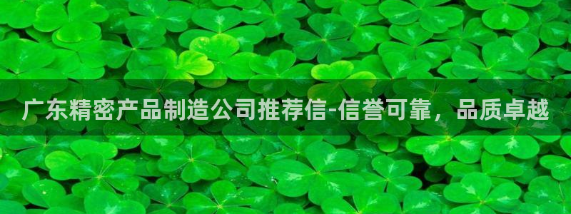 彩神官方邀请码是多少：广东精密产品制造公司推荐信-信誉可靠，品质卓越