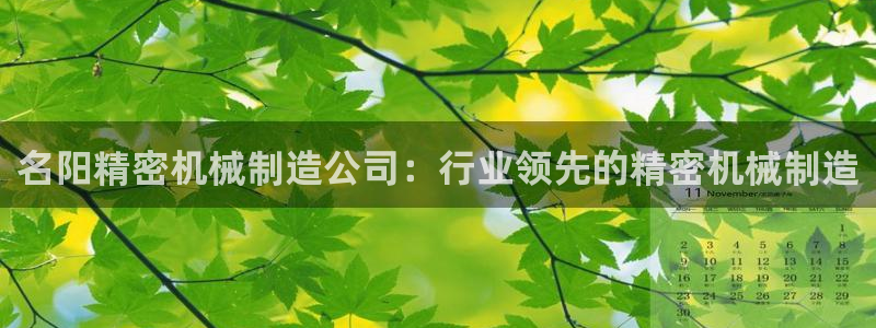 彩神v8app：名阳精密机械制造公司：行业领先的精密机械制造