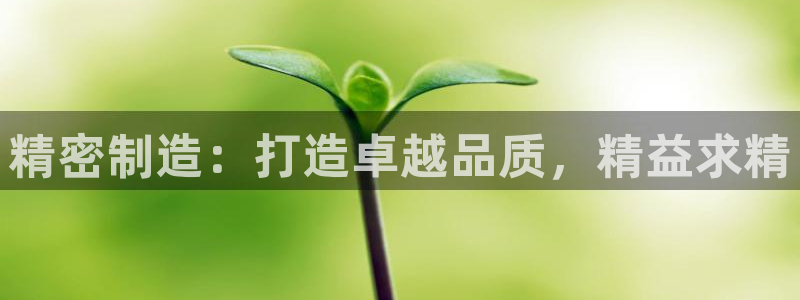 彩神vll首页企业文化：精密制造：打造卓越品质，精益求精