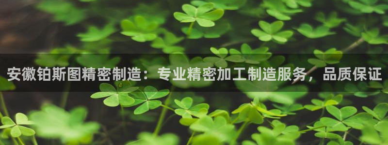 彩神官方邀请码是多少：安徽铂斯图精密制造：专业精密加工制造服务，品质保证