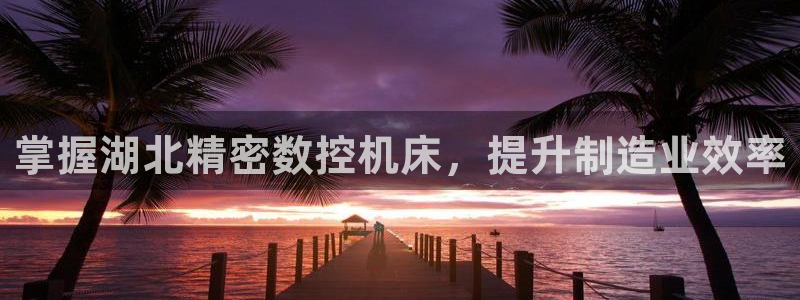 彩神ios下载：掌握湖北精密数控机床，提升制造业效率